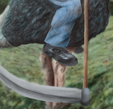 Ostrich