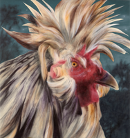 Chicken in the morning